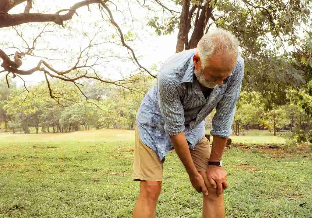Meniscal Repair 1 Meniscal Repair